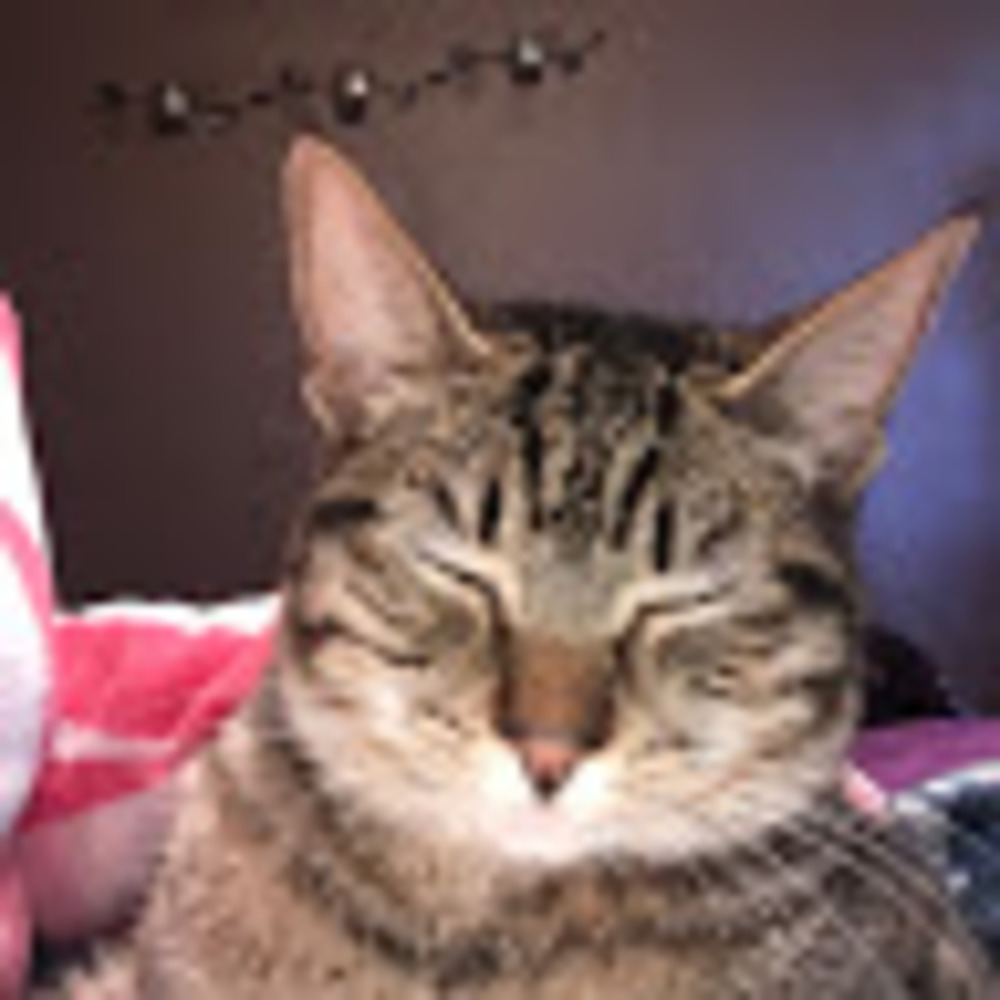 Meet your Posher, Justine